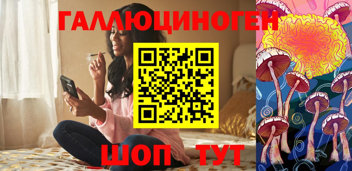 Псилоцибиновые грибы Psilocybine cubensis Горно-Алтайск