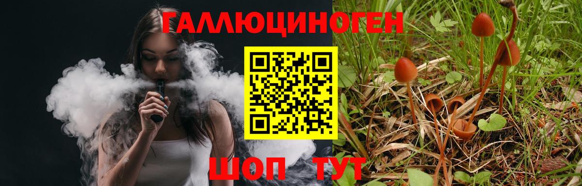 Галлюциногенные грибы GOLDEN TEACHER  Вход с VPN  что такое наркотик  Горно-Алтайск 
